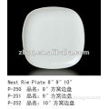 Nest Rim Plate